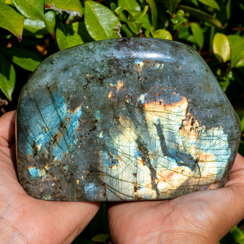 Metal And Intuitive Abilities - Galaxy Labradorite Free Form Superior Specimens 12