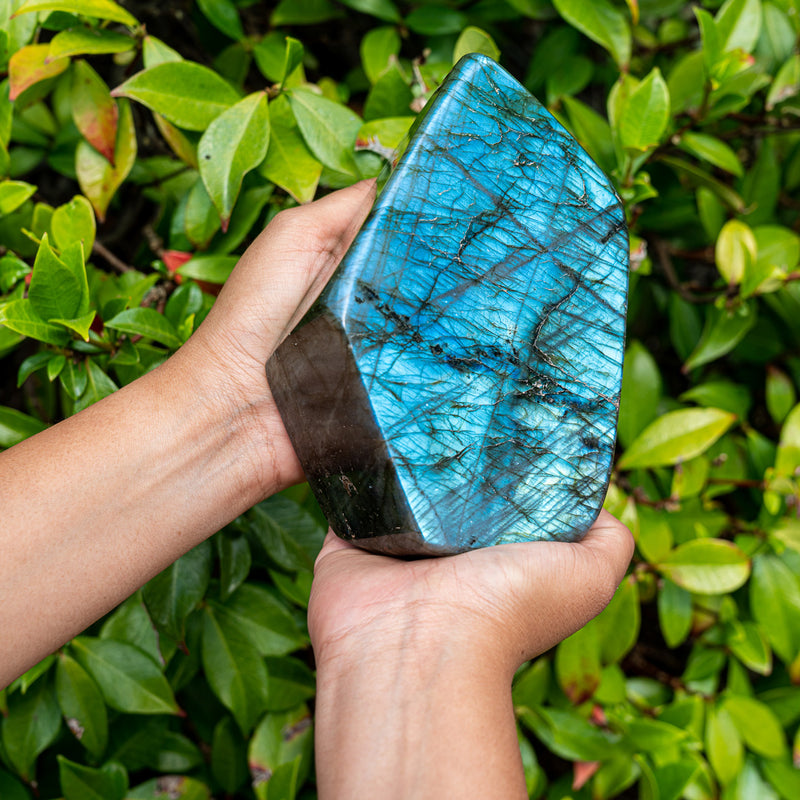 Metal And Intuitive Abilities - Labradorite Free Form Superior Specimens 2