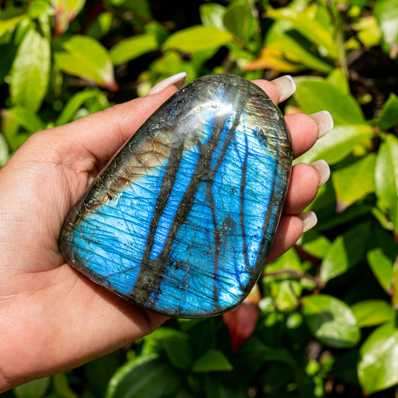 Metal And Intuitive Abilities - Labradorite Free Form Superior Specimens 6