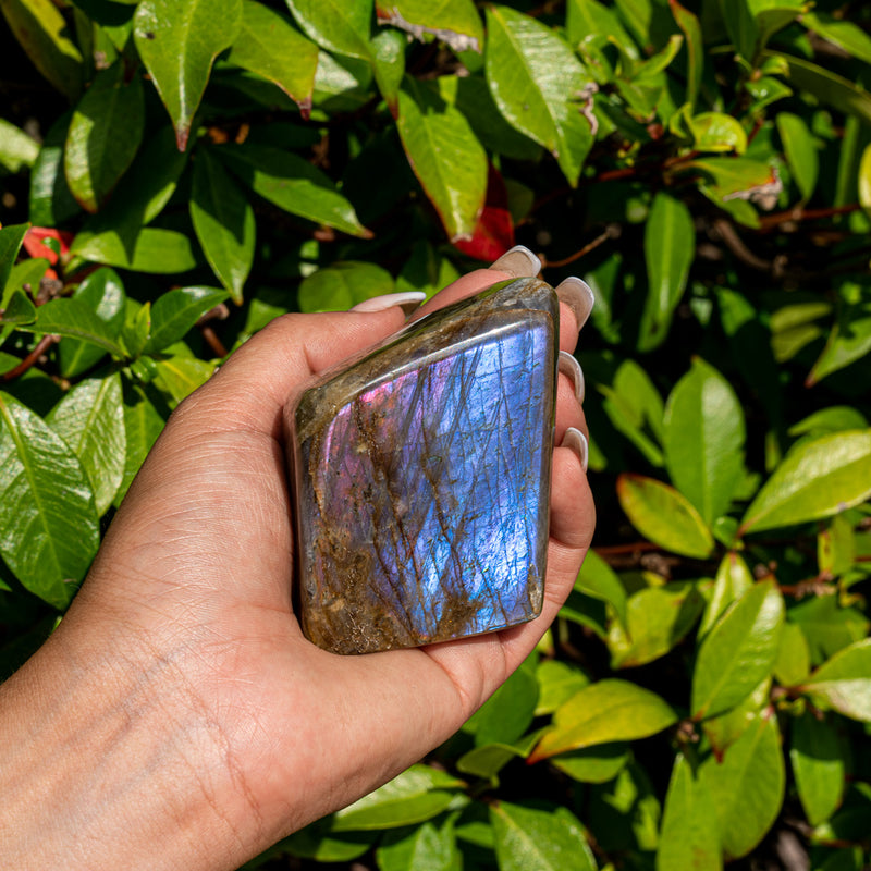 Metal And Intuitive Abilities - Galaxy Labradorite Free Form Superior Specimens 7