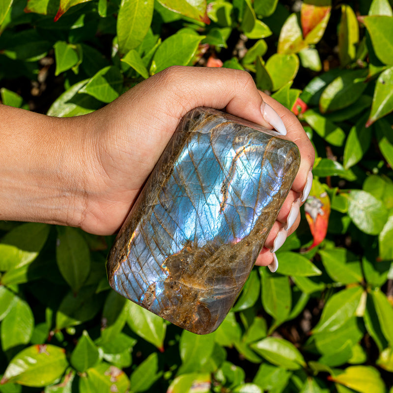 Metal And Intuitive Abilities - Galaxy Labradorite Free Form Superior Specimens 7