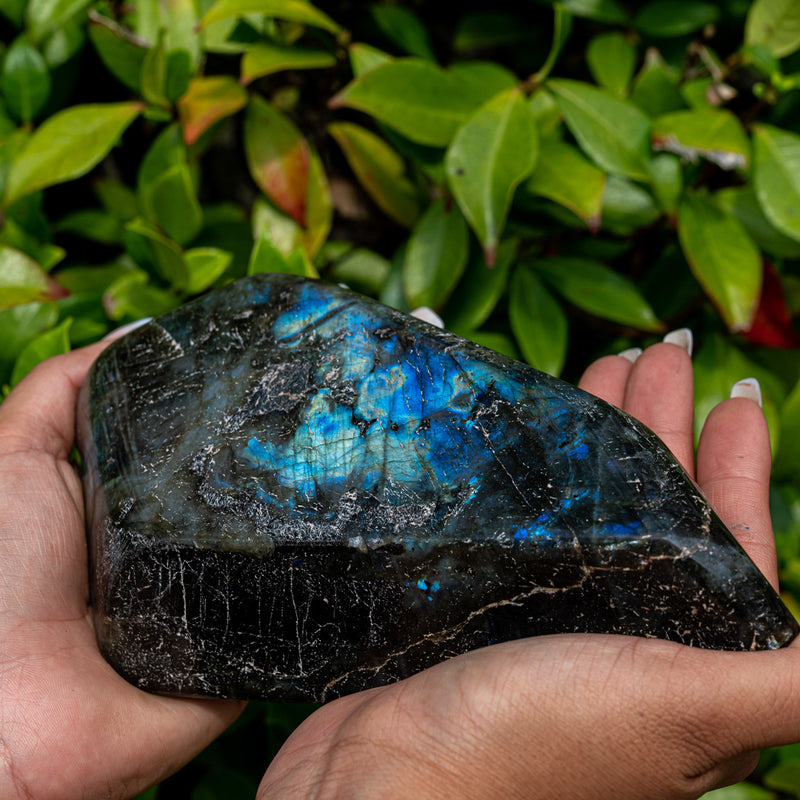 Metal And Intuitive Abilities - Galaxy Labradorite Free Form Superior Specimens 8