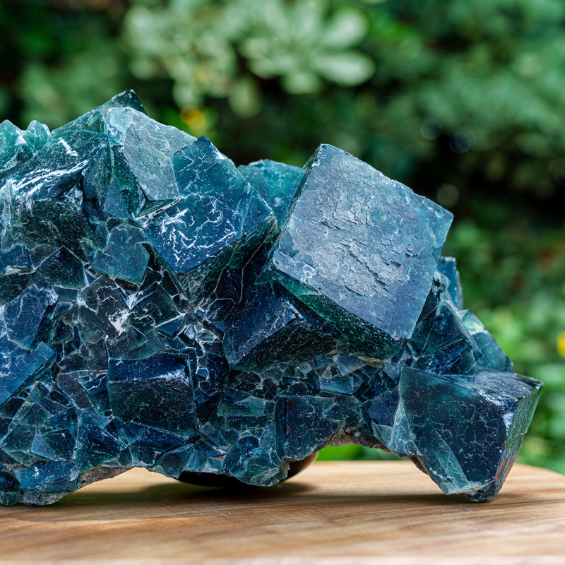 Powerful Anxiety Detox - Fluorite Free Form Specimen