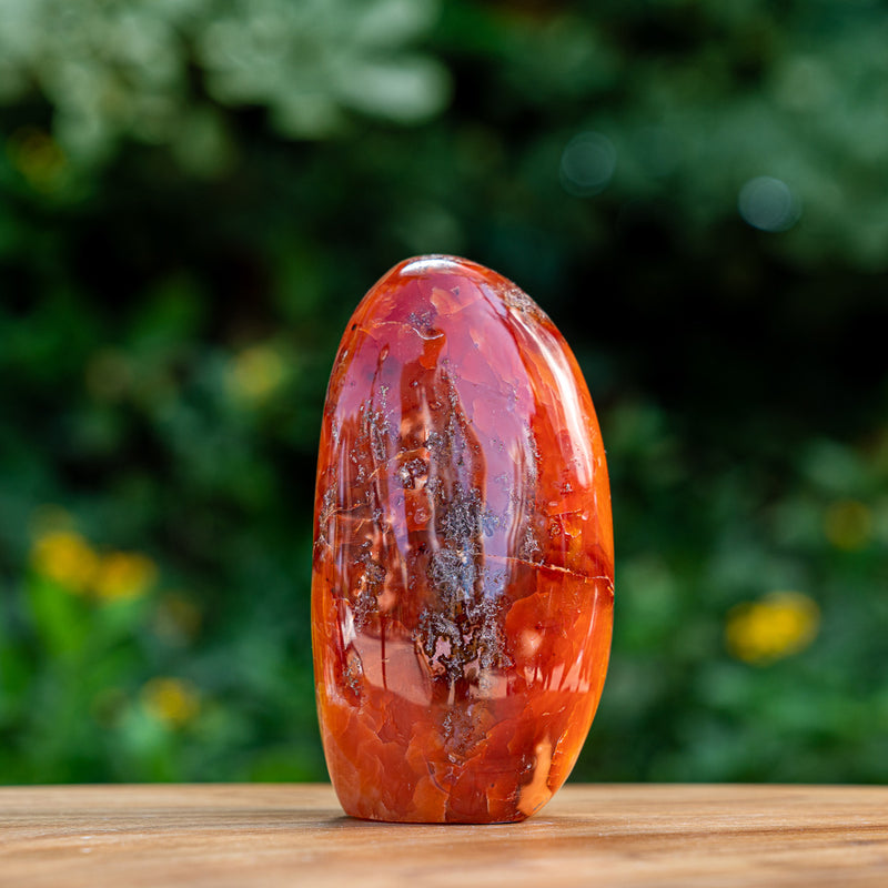 Eternal Entthusiasm - Carnelian Free Form Cut Base