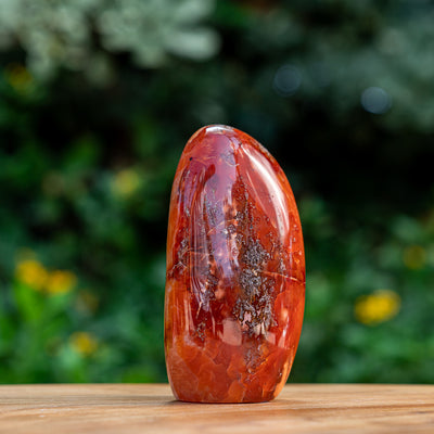 Eternal Entthusiasm - Carnelian Free Form Cut Base