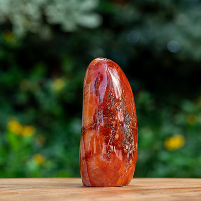 Eternal Entthusiasm - Carnelian Free Form Cut Base