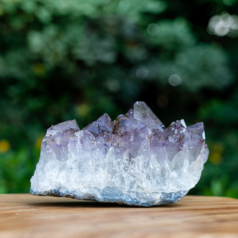 Blessed Equilibrium - Amethyst Cluster Large