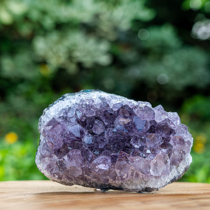 Blessed Equilibrium - Amethyst Cluster Large