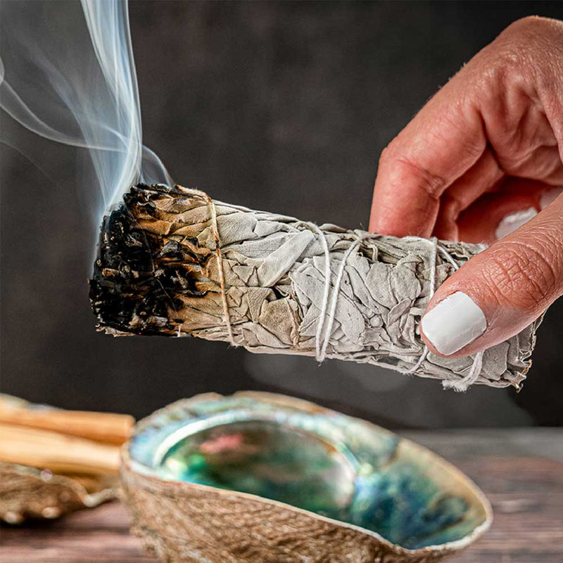 White Sage Smudge Sticks